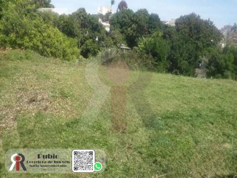 Terreno em Mangal
