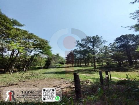 Área Industrial/Comercial em Porto Feliz