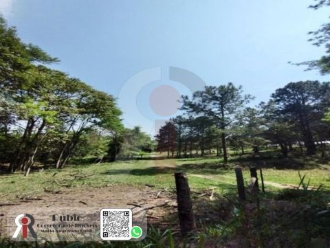 Área Industrial/Comercial em Porto Feliz